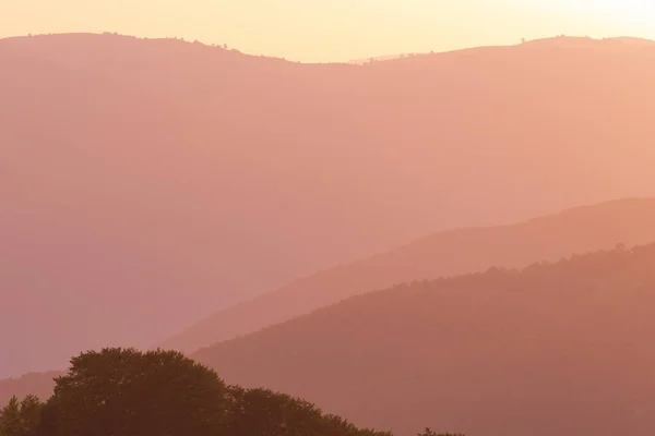 Złoty zachód słońca w lecie — Zdjęcie stockowe