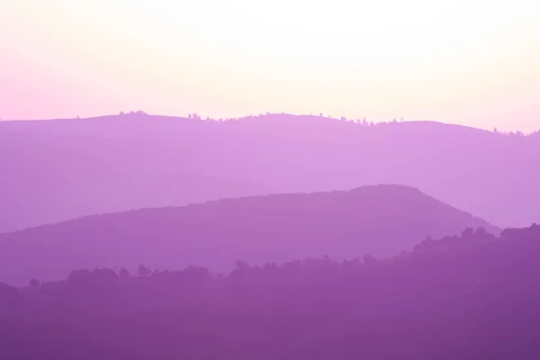 Ultra violett lila sommar landskap — Stockfoto