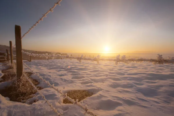 Winter landschap tijdens zonsondergang — Stockfoto