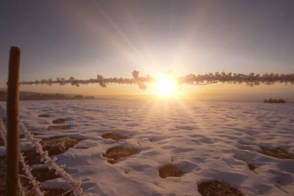 Winter landschap tijdens zonsondergang — Stockfoto