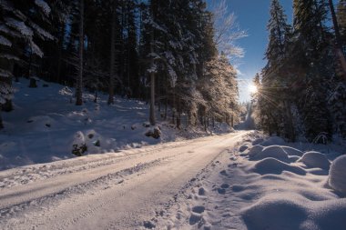 Gün batımı veya gün doğumu sırasında karlı kırsal yol