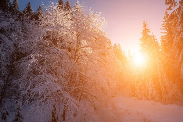 Zasněžená krajina během soumraku nebo východu slunce — Stock fotografie