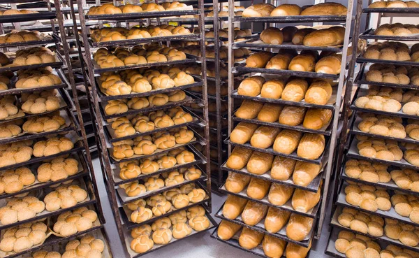 面包烘焙食品制造厂生产的新鲜产品 — 图库照片