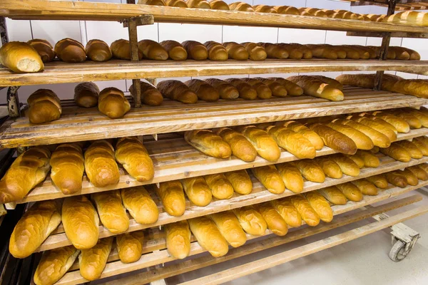 Panadería producción de la fábrica de alimentos con productos frescos —  Fotos de Stock