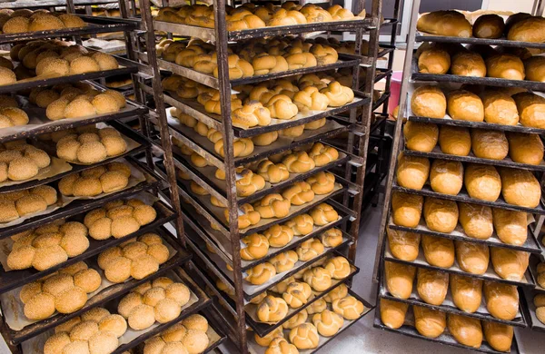 Ekmek fırını gıda fabrikası üretimi ve taze ürünler — Stok fotoğraf