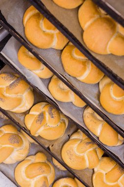 Ekmek fırını gıda fabrikası üretimi ve taze ürünler