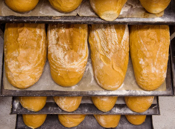 신선 한 제품을 생산하는 빵 빵 빵 제조 공장 — 스톡 사진