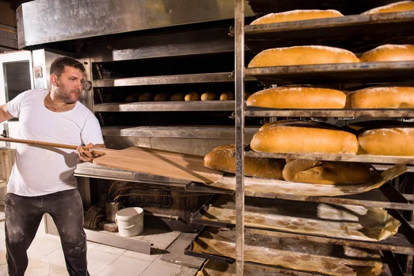 Bäckereiangestellte holt frisch gebackenes Brot heraus — Stockfoto