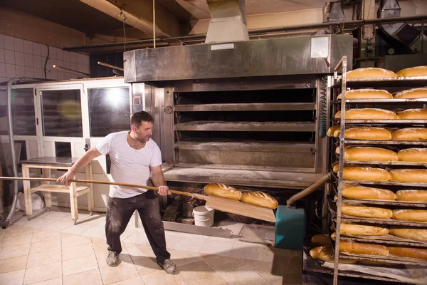 Bakkerij medewerker die versgebakken broodjes uitneemt — Stockfoto