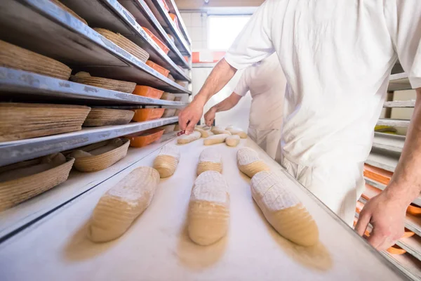 Bagare förbereder degen — Stockfoto