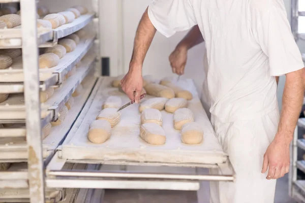 Bakkers bereiden van het deeg — Stockfoto