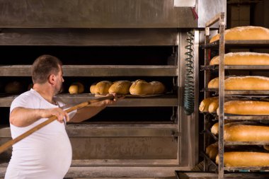 fırın işçisi taze pişmiş ekmek alarak