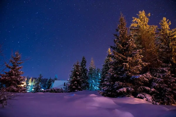 Hermoso paisaje nocturno de invierno —  Fotos de Stock