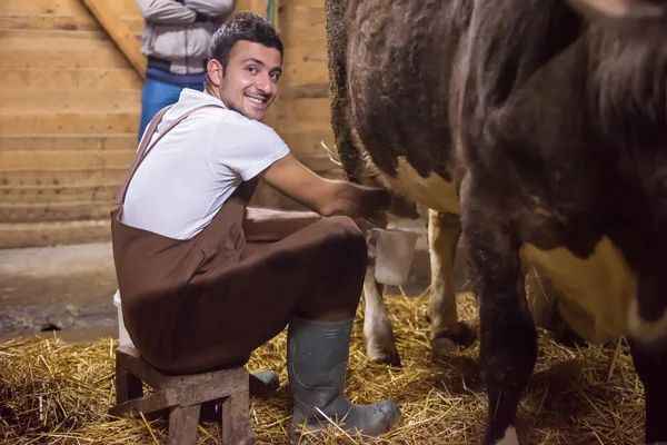 Agricultor ordenha vaca leiteira à mão — Fotografia de Stock