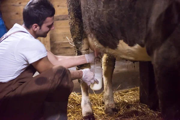 Ganadero ordeño vaca lechera a mano — Foto de Stock