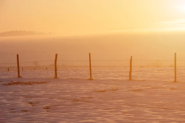 Winter landschap tijdens zonsondergang — Stockfoto