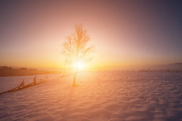 Prachtig winterlandschap — Stockfoto