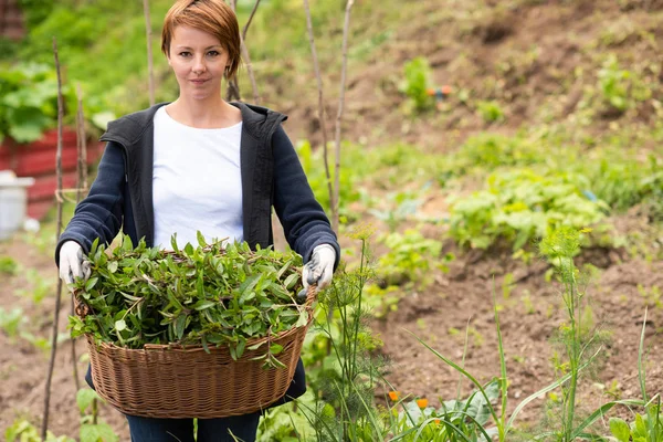 Woman gardening — Stock Photo, Image