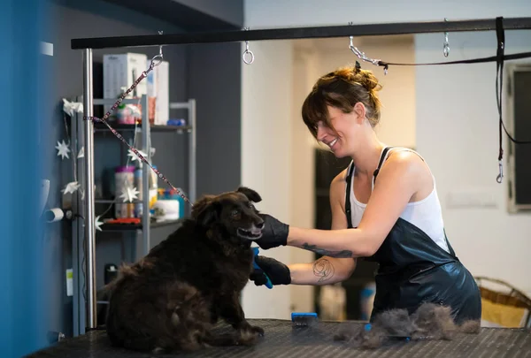 Zvířecí kadeřník žena řezná srst roztomilým černým psem — Stock fotografie