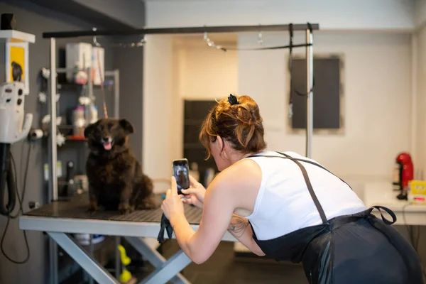 Peluquería mascota mujer tomando fotos de lindo perro negro — Foto de Stock