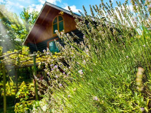 Casa de madera — Foto de Stock