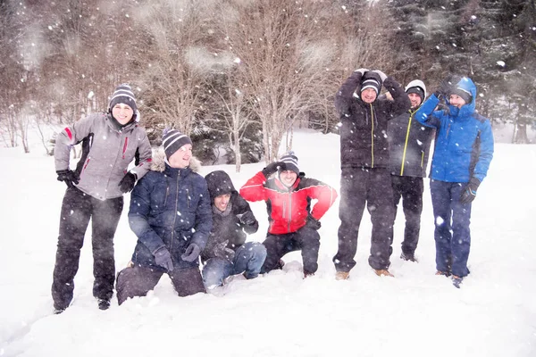 Portrét skupinových mladých lidí v krásné zimní krajině — Stock fotografie