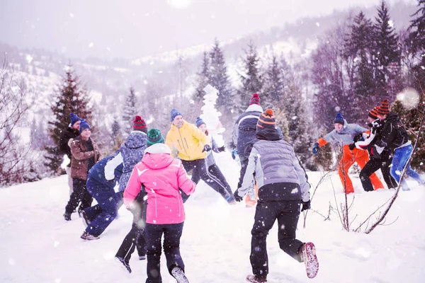 Группа молодых людей, веселящихся в красивом зимнем пейзаже — стоковое фото