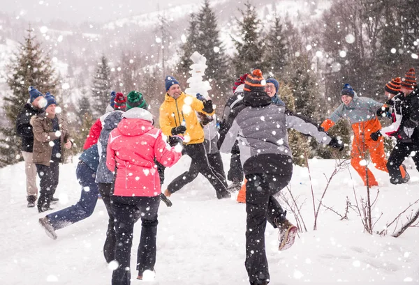 Skupina mladých lidí baví v krásné zimní krajině — Stock fotografie