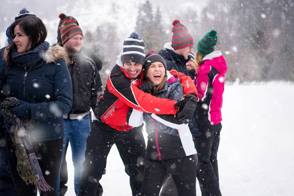 Portrait of group young people in beautiful winter landscape — Stock Photo, Image