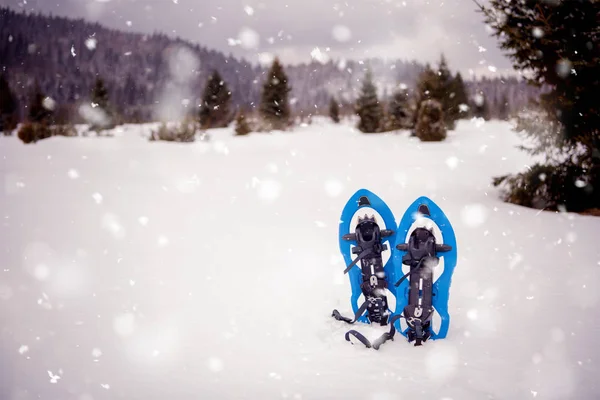 Blauwe sneeuwschoenen in verse show — Stockfoto