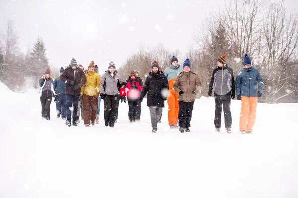 Groupe de jeunes marchant à travers de beaux paysages d'hiver — Photo