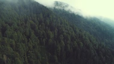Bulutların üzerinde gökyüzü masmavi ve güzel güneşli bir günde uçuyor.