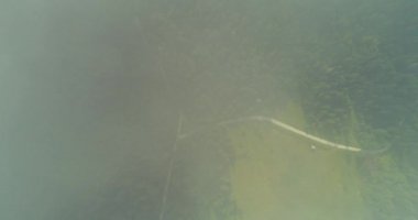 Bulutların üzerinde gökyüzü masmavi ve güzel güneşli bir günde uçuyor.