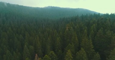 Bulutların üzerinde gökyüzü masmavi ve güzel güneşli bir günde uçuyor.