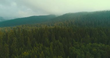 Bulutların üzerinde gökyüzü masmavi ve güzel güneşli bir günde uçuyor.