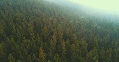 Bulutların üzerinde gökyüzü masmavi ve güzel güneşli bir günde uçuyor.