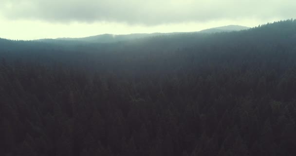 Luchtvlieg Boven Wolken Met Blauwe Lucht Achtergrond Mooie Zonnige Dag — Stockvideo