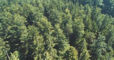 Bulutların üzerinde gökyüzü masmavi ve güzel güneşli bir günde uçuyor.