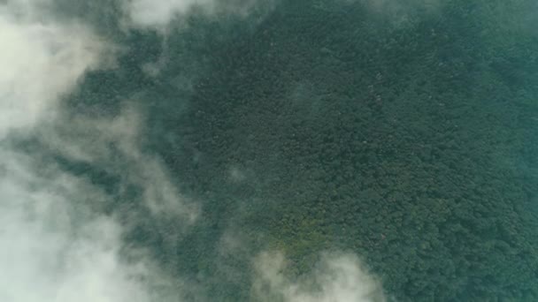 Mosca Aérea Por Encima Las Nubes Con Cielo Azul Backgroubnd — Vídeo de stock