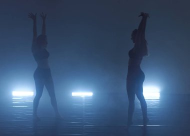 Siyah taytlı birkaç genç bayan atletik dans partneri modern stil balesi yapıyorlar akrobatik unsurlar yapıyorlar karanlık bir ortamda sanat performansı sergileyen birkaç sporcu balerin.