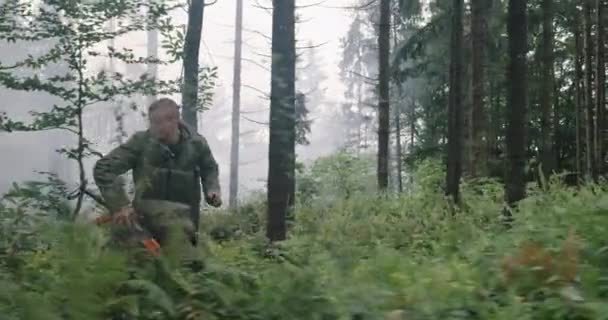 Vojenská činnost v hustém lese, pronásledování teroristů, koncepce války a terorismu — Stock video
