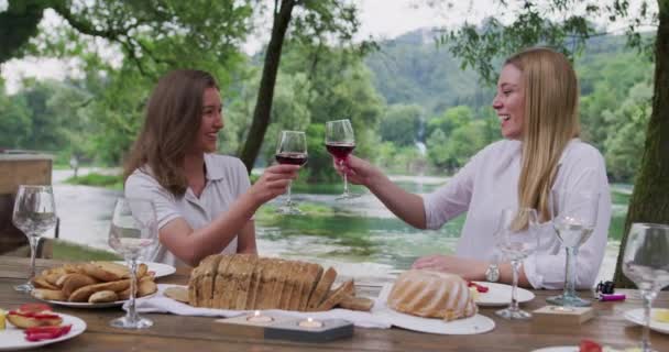 Glada vänner skålar rött vinglas under fransk middag — Stockvideo