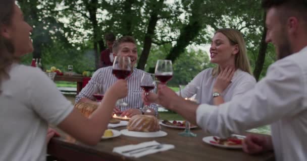 Щасливі друзі мають французьку вечірку на відкритому повітрі — стокове відео
