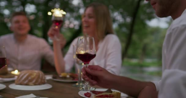 Amis heureux ayant dîner français en plein air — Video