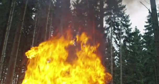 消防员英雄在行动中的危险跳过火焰抢救和拯救 — 图库视频影像