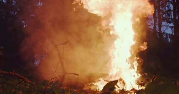 消防员英雄在行动中的危险跳过火焰抢救和拯救 — 图库视频影像