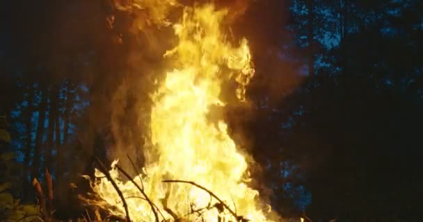 Hasič Hrdina Akci Nebezpečí Skákání Přes Oheň Plamen Zachránit Uložit — Stock video
