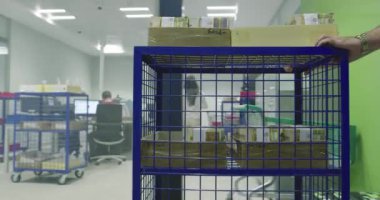 Bir işçi plastik konteynırlı bir karton toplar.