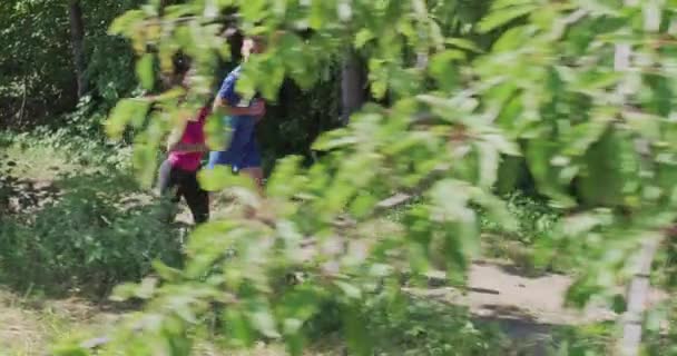 Casal correndo em uma estrada rural através da bela floresta ensolarada — Vídeo de Stock