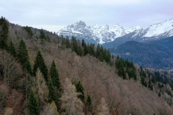 Letecké zasněžené vrcholky hor v zimě v Alpách — Stock fotografie